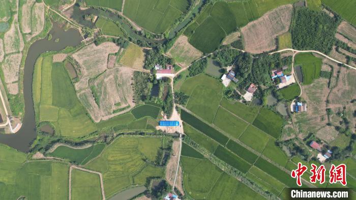 湖北屈家嶺遺址新發(fā)現 實(shí)證長(cháng)江中游文明起源與演進(jìn)